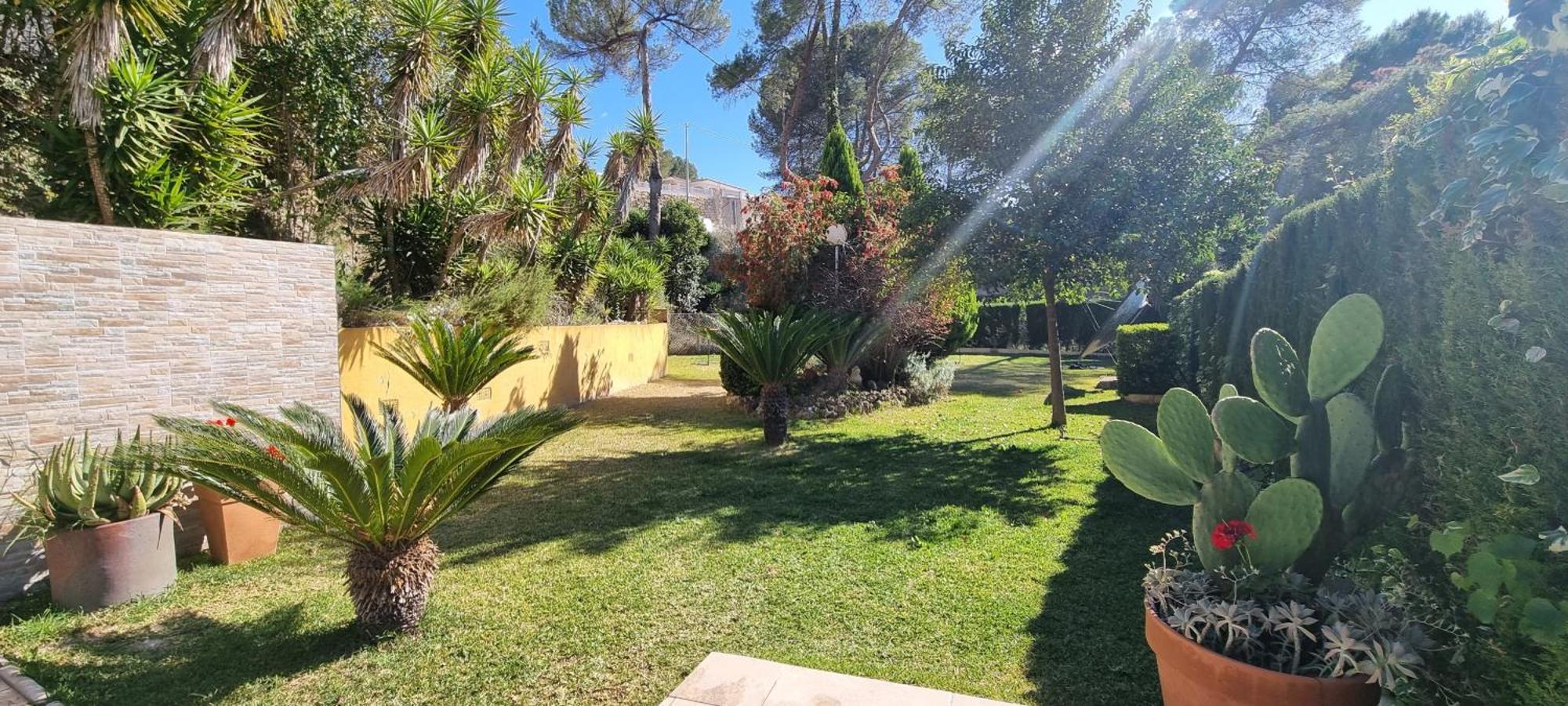 Wonderful Villa, Heated Pool, Near Beautiful Town Alboy Luaran gambar